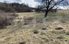 Teren extravilan in suprafata de 7500 mp la poalele Mesesului - 2