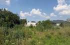 Teren intravilan, 500 mp, zona Preajba - Smart Pub - 3