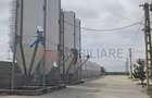 *Fermă modernă pentru export miei | 6 ha | Standarde europene | Aproape de Brăil - 4