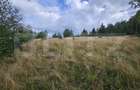 Teren intravilan 5.271 mp cu priveliște spectaculoasă – Gârda de Sus, Snide - 2