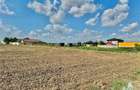 Teren 64 de parcele de vanzare /  Teren de investitie / Frumusani / Calarasi - 4