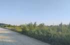 OPORTUNITATE INVESTIȚIE SECTOR 1 | Teren Intravilan 2.200 mp - 5