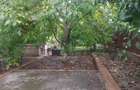 Vila Bucium cod 156392 - 20