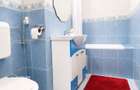 Apartament cu 1 camera, Micalaca - Voinicilor, parter - 7