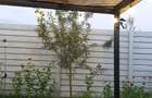 Casa de vanzare - constructie din lemn pe structura de beton - 6