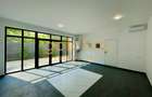 SUPERB/ IANCU NICOLAE - 2