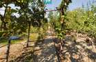 Casă cu teren de 1246 mp în Pârneava - 13