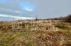 Teren extravilan 6.500 mp – Cârțișoara | Comision 0% - 6