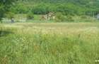 Vand teren intravilan Livezeni,900mp,drum privatla 100 m de strada principala. - 1