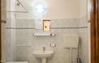 Lunei - Ion Neculce, 2 Apartamente. Mansarda 157 mp. Anexe, Lot 475 mp - 7