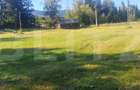 Teren intravilan, 5530 mp, zona Neagra Sarului - Vatra Dornei - 1