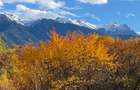 Teren intravilan Sohodol, priveliste catre Bucegi, Piatra Craiului,Magura Codlei - 6