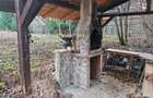 Casa 4 camere libera la vanzare, pozitie deosebita VULCAN - 33
