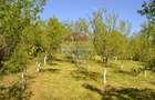 Casă / Vilă de vânzare Picior de Munte, Dambovita - 17