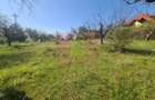 Teren de vanzare in Campina in zona retrasa - 2