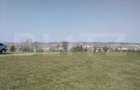 Teren intravilan, 15.904 mp, zona Dambu - 2