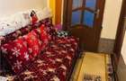 Apartament 1 camera-Centrala-Buziasului-Acoperis - 2