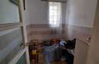 Sanmihaiu Roman 2 case vechi 110000 euro - 18