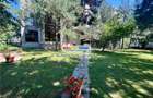 Vanzare vila S+P+1E+M, 7 camere, Ploiesti, zona Albert