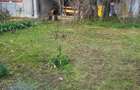 EXCLUSIVITATE! TEREN UNICAT 413 MP ZONA FALEZA NORD - 6