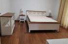 Penthouse langa parcul Gradina Icoanei - 13