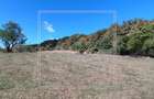 Teren in zona Bradu - priveliste deosebita - pretabil investitie - 11