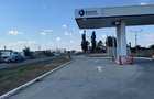 Vanzare Teren  industrial \5000mpMagurele Varteju - 9