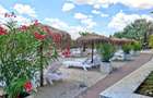 Apartament 3 camere - 2