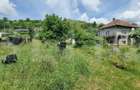Investitie !Teren intravilan 14660 mp, cu  o casa individuala 140 mp, Suceagu ! - 3