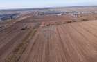 Vanzare teren intravilan 7,400 mp Sabareni / Strada Primaverii - 13