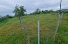 Teren premium cu panoramă spre oraș |676 mp|Ideal casă individuală - 3