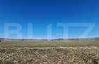 Teren intravilan, 29.000mp, front 102mp, utilitati in zona, Jucu de Sus - 1