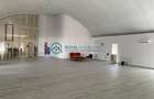 Royal Imobiliare - Inchiriere spatiu industrial zona Bucov - 2