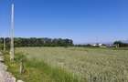 Teren 10.294 mp de vânzare Târgu Jiu | Intravilan + Extravilan | Utilități - 3