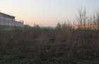 Vanzare teren 13000 mp Baneasa - Soseaua Odai - 5
