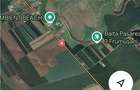 Teren intravilan 51000 mp - Oportunitate rara in Vasilati, Calarasi! - 3