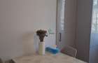 Exclusiv!!! Apartament doua camere decomandat Ultracentral - 8