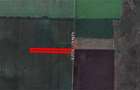 Teren extravilan 12.167 mp in Branesti, Ilfov, deschidere 27 m - 3