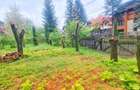 Vanzare teren 588 mp, Sinaia/Avram Iancu - 2