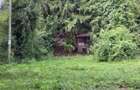 Teren de vanzare 15.000 mp in Telega - 10