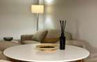 Apartament duplex 2 camere Vasile Lascar - 4