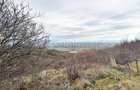 Parcela de teren extravilan, langa padure, zona Gheorghe Doja, Oradea - 4