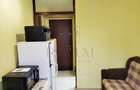 COMPLEX STUDENTESC - MOBILAT/UTILAT - AER CONDITIONAT - ZONA LINISTITA - 2