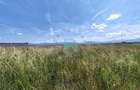 Teren industrial de vanzare, 7700 mp, Parc Industrial Prejmer - 8