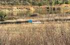 Teren intravilan de vanzare in Iasi, zona Sorogari,langa lac - 2
