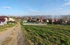 Teren intravilan 2248 mp - Nazna - 6