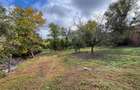 CASA SI TEREN 1.000 MP | SAT TRIA | COMUNA DERNA | JUDETUL BIHOR - 7