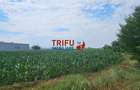 Teren Intravilan Soseaua De Centura !3500mp - 4