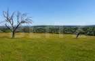 Teren de vanzare in Adancata, 4500 mp - 1