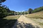 36.200 mp teren | Poiana Mărului | Platou | Apă și curent | 1 km de Sergiana - 2